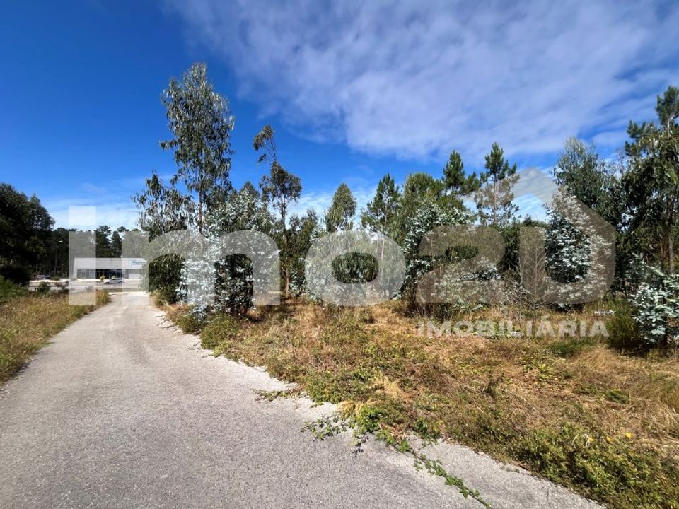 Tomt i Monte Real, Leiria - bilde 5