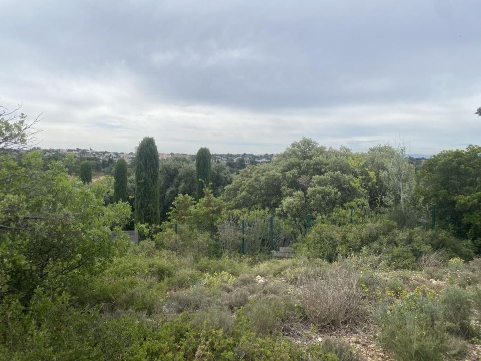 Terra a Villeneuve-lès-Avignon, Gard - foto 1