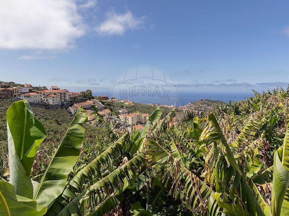 Helårsgrund i Camara de Lobos, Madeira - foto 2