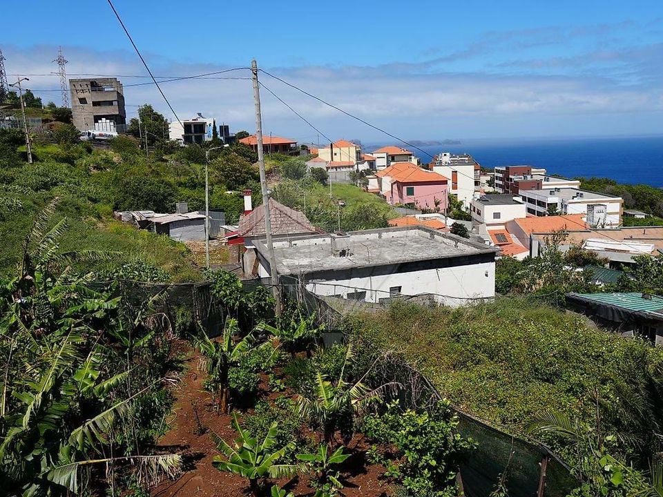 Villa i Machico, Madeira - foto 3