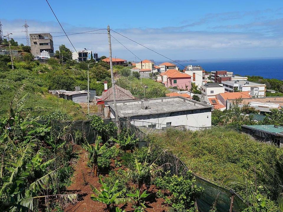 Villa i Machico, Madeira - bilde 2