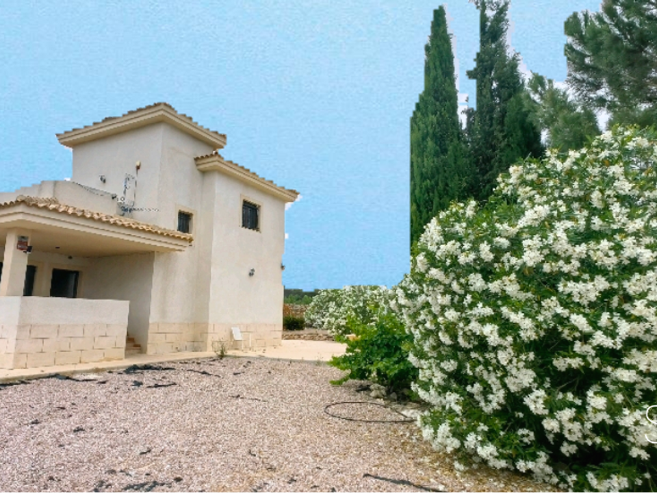 Landejendom i Pinoso, Alicante - foto 5