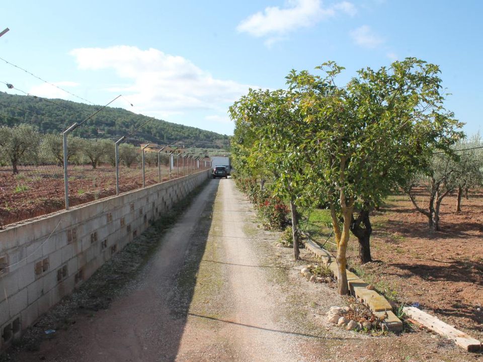 Landejendom i Pinoso, Alicante - foto 2