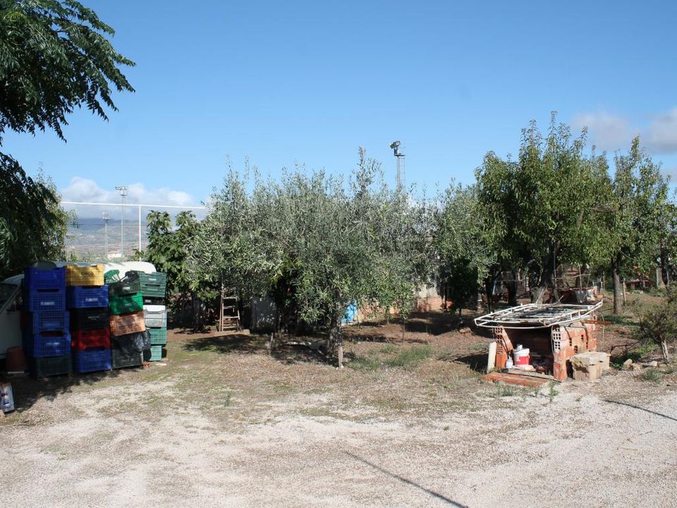 Landejendom i Pinoso, Alicante - foto 5