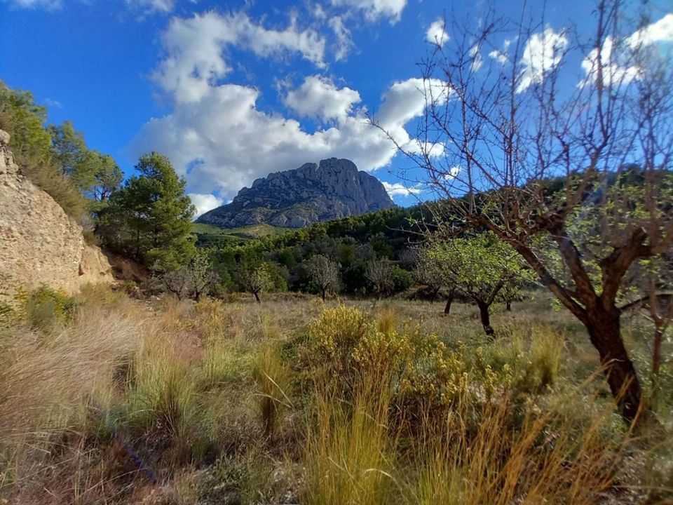 Tomt i Finestrat, Alicante - bilde 5