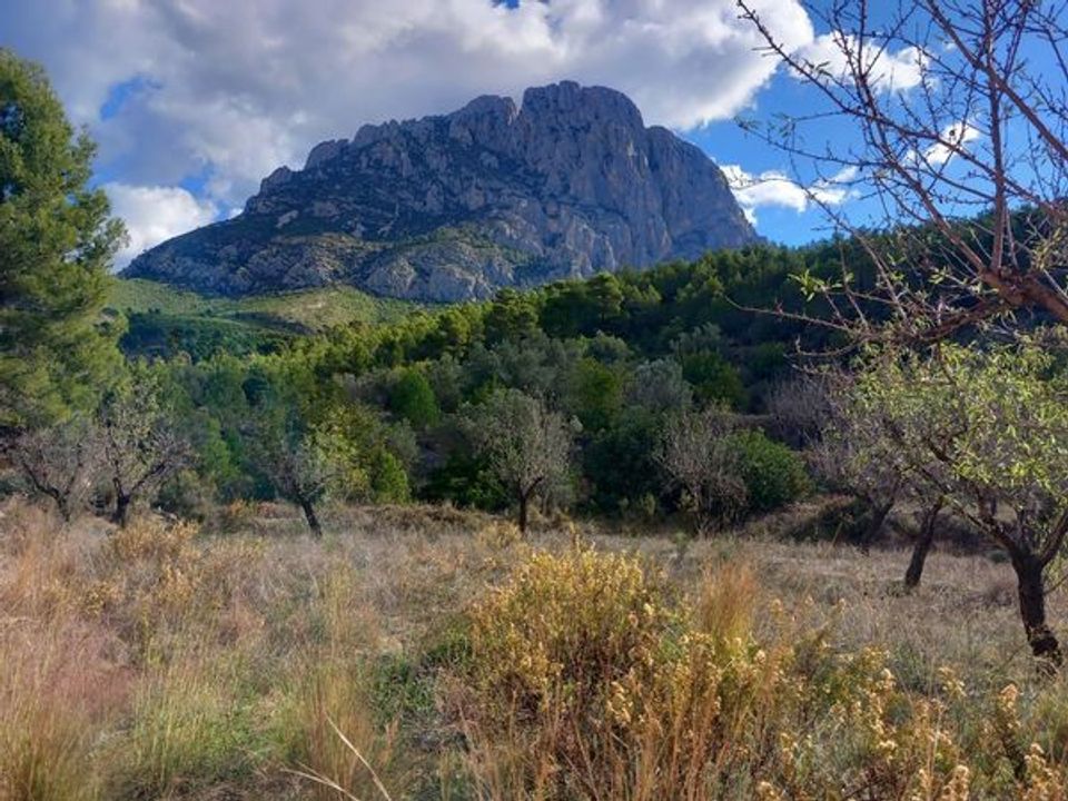 Tomt i Finestrat, Alicante - bilde 2