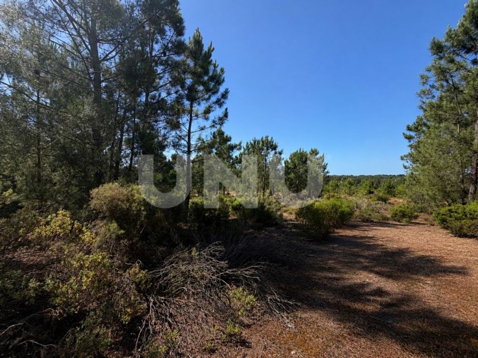 Helårsgrund i Brejos de Azeitao, Setubal - foto 3
