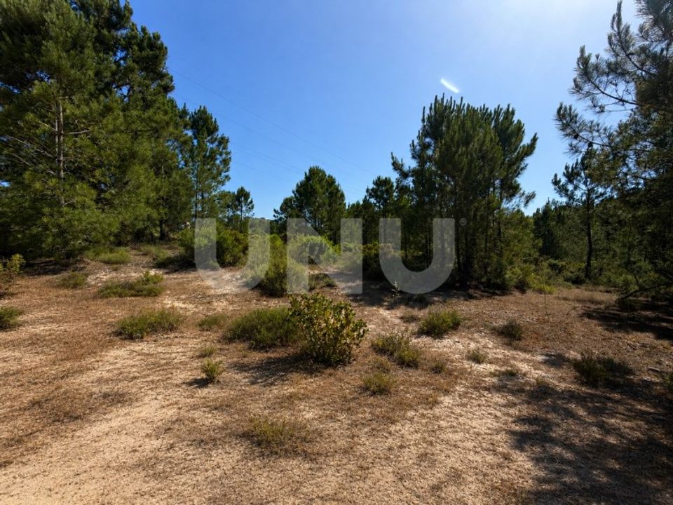 Helårsgrund i Brejos de Azeitao, Setubal - foto 4