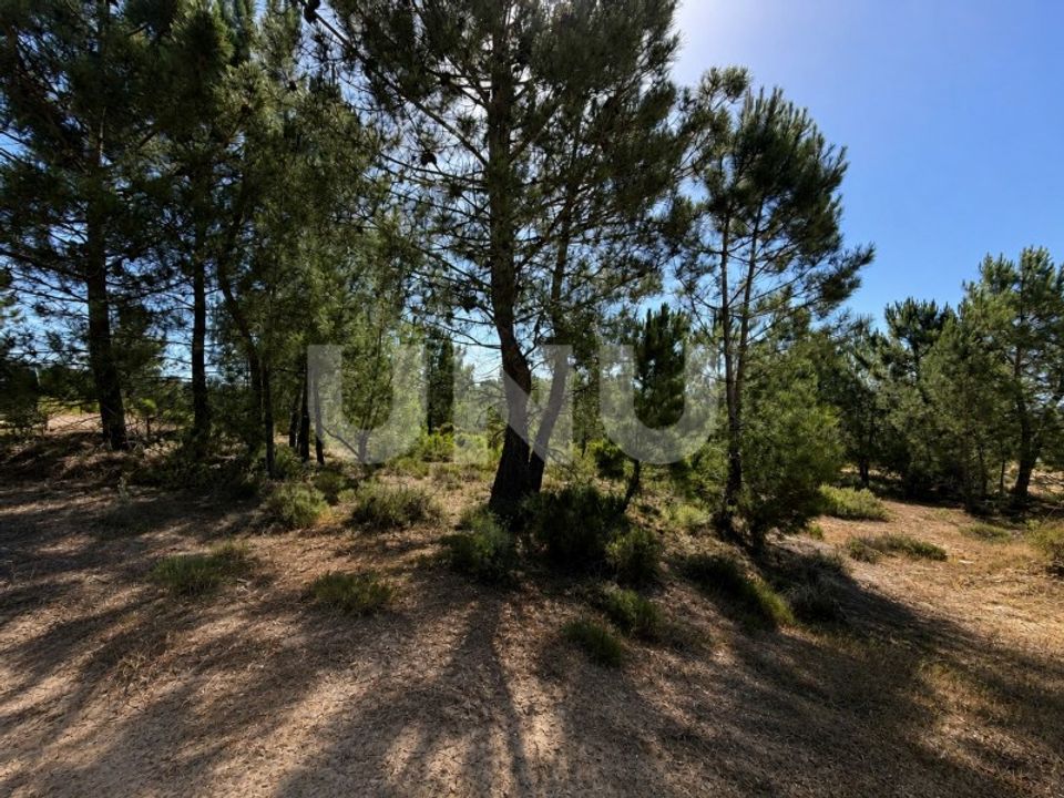 Helårsgrund i Brejos de Azeitao, Setubal - foto 5