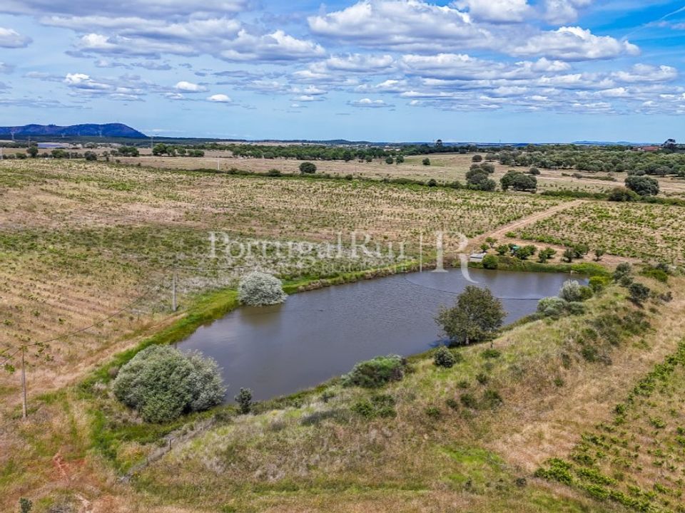 Boerderij in Nisa, Portalegre - foto 4