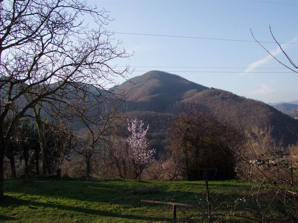 Masia a Rufina, Florence - foto 5