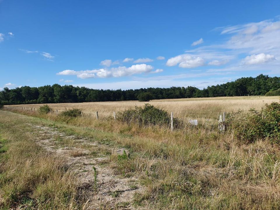 Helårsgrund i Latresne, Gironde - foto 1