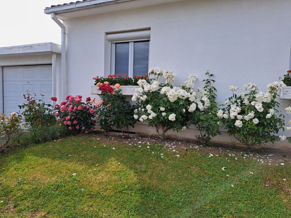 Villa a Reims, Marne - foto 5