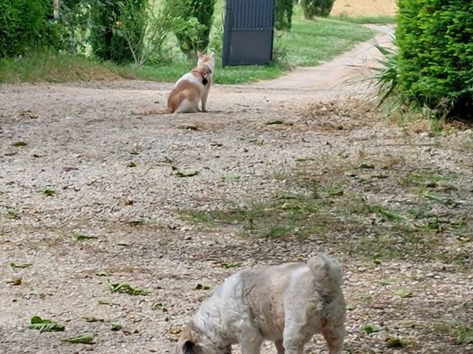 Studio i Puylaurens, Tarn - foto 3