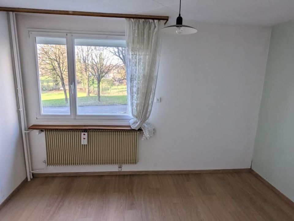 Apartment in Montbeliard, Doubs - photo 4
