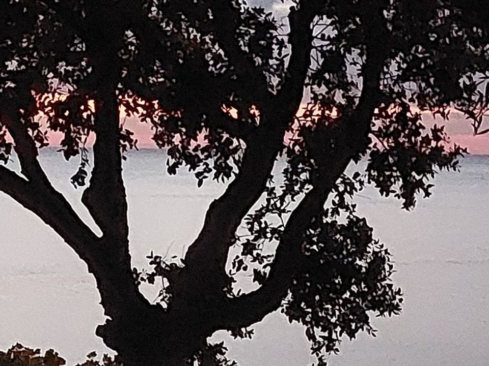 Leilighet i Frejus, Var - bilde 4