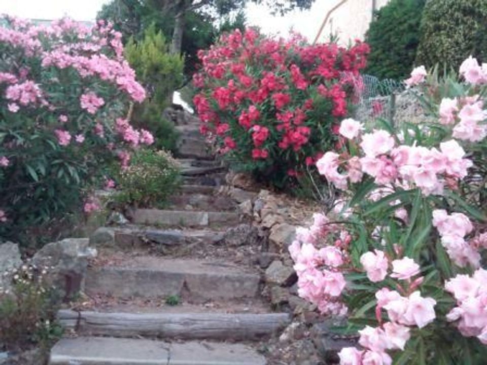 Leilighet i Frejus, Var - bilde 5