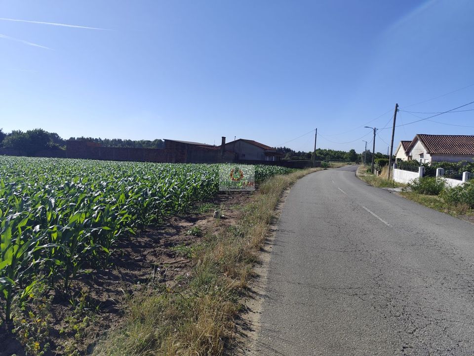 Helårsgrund i Vagos, Aveiro - foto 2