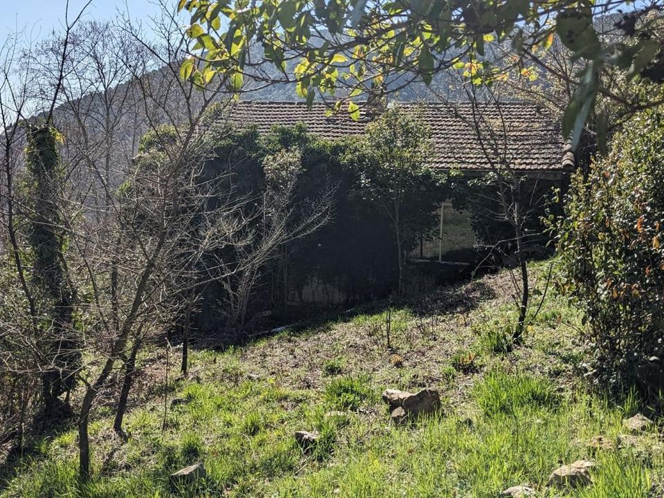 Willa: Bargemon, Var – zdjęcie 3