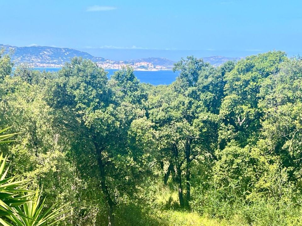 Apartament a Lumio, Haute-Corse - foto 2