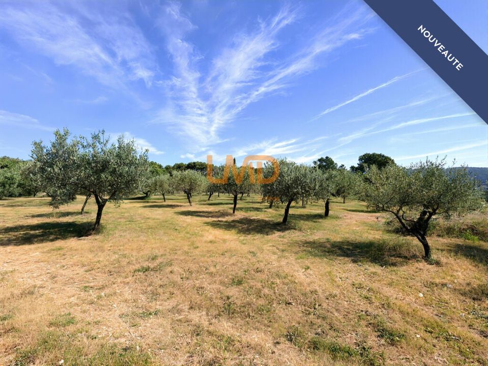 Landejendom i Draguignan, Var - foto 5