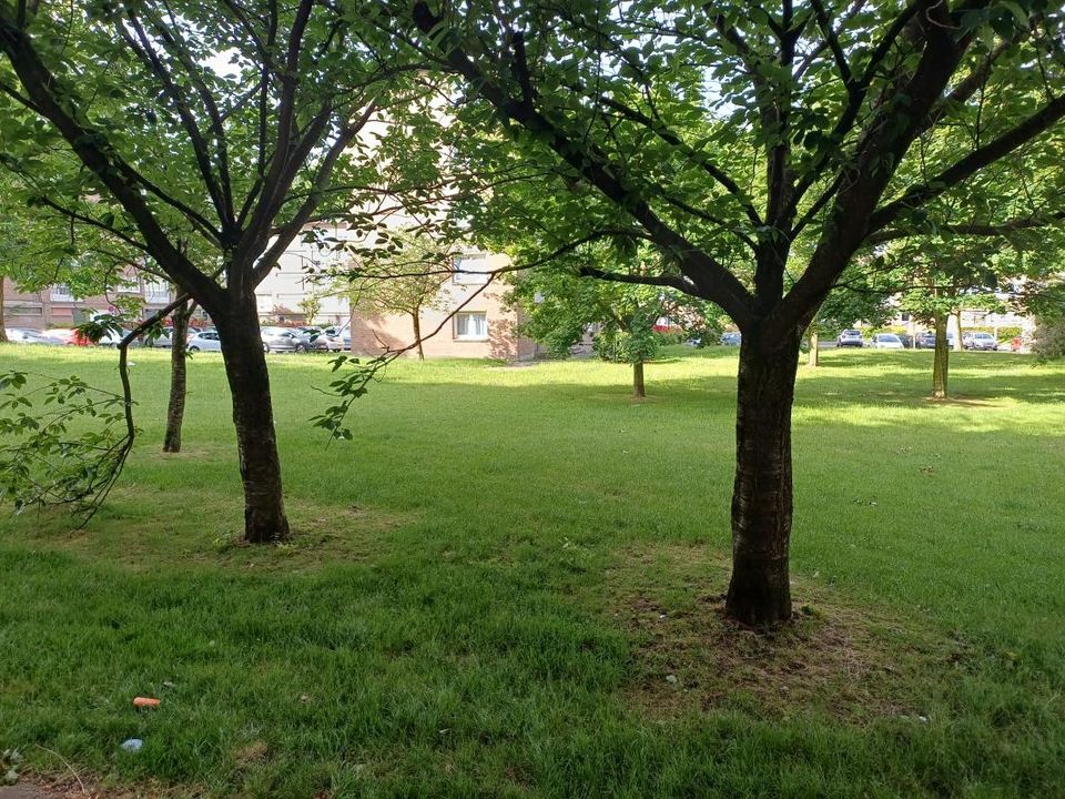 Lejlighed i Tourcoing, Nord - foto 5