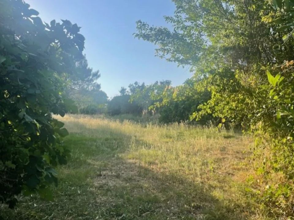 Terreno en Mauressac, Haute-Garonne - foto 1