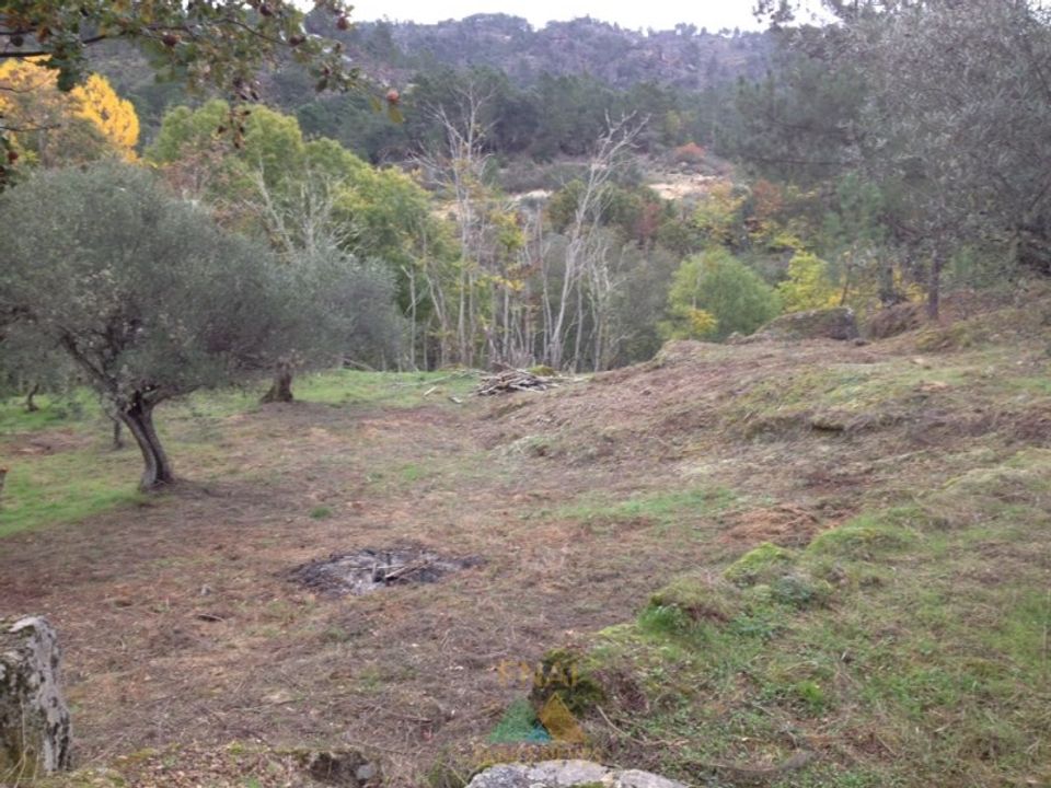 Ruinere i Possacos, Vila Real - foto 4