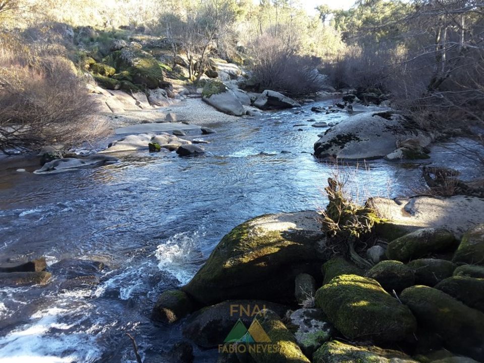 Ruinere i Possacos, Vila Real - foto 5