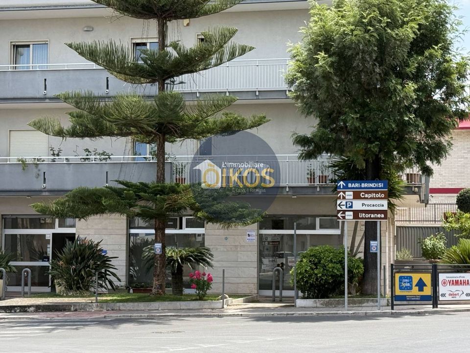 L'establiment comercial a Monopoli, Bari - foto 2