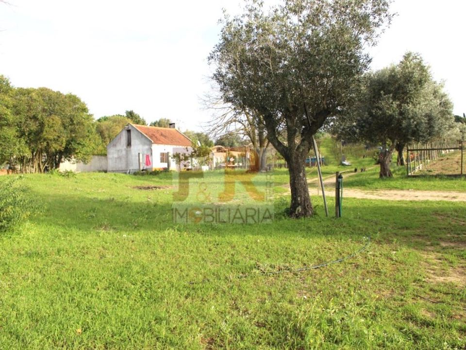 Farm i Brejos de Azeitao, Setubal - foto 1