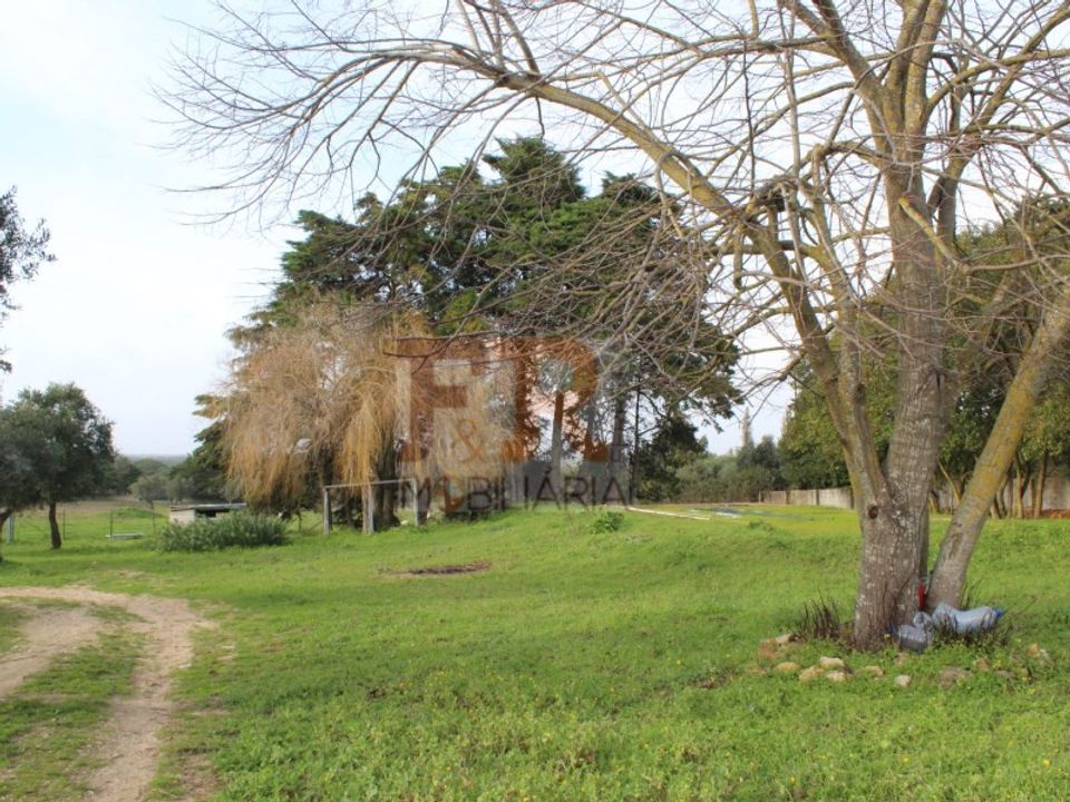 Farm i Brejos de Azeitao, Setubal - foto 2