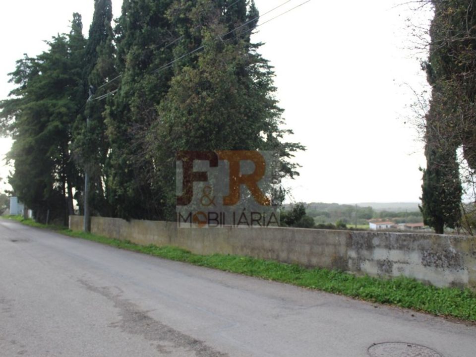 Farm i Brejos de Azeitao, Setubal - foto 3