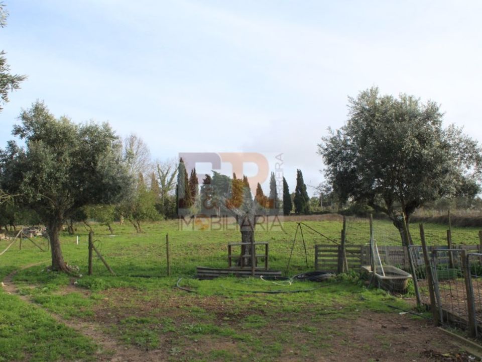 Farm i Brejos de Azeitao, Setubal - foto 4