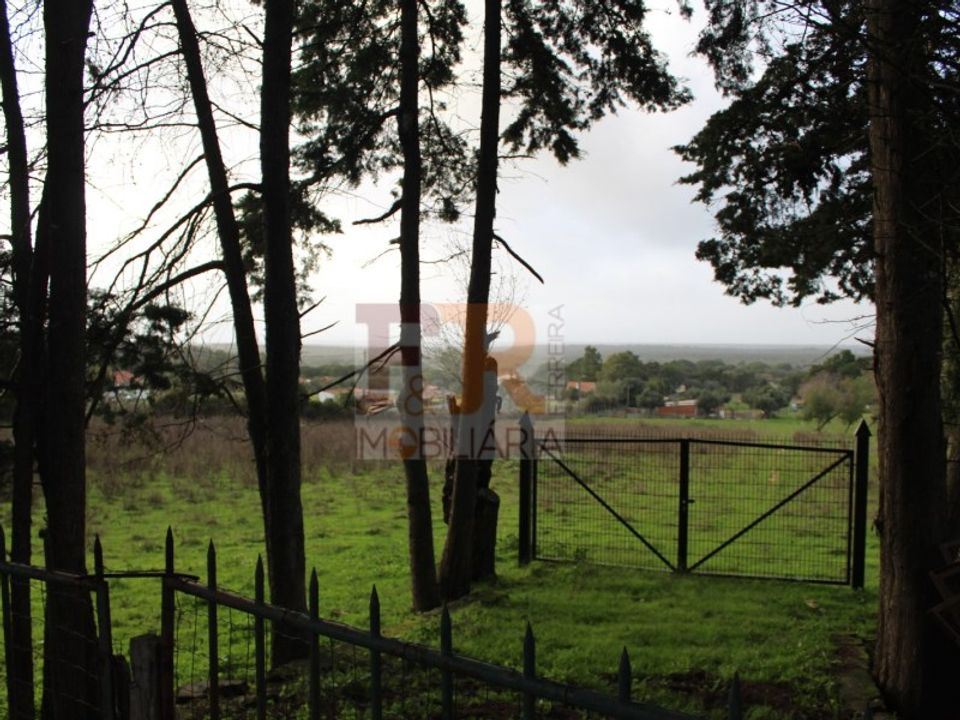 Farm i Brejos de Azeitao, Setubal - foto 5