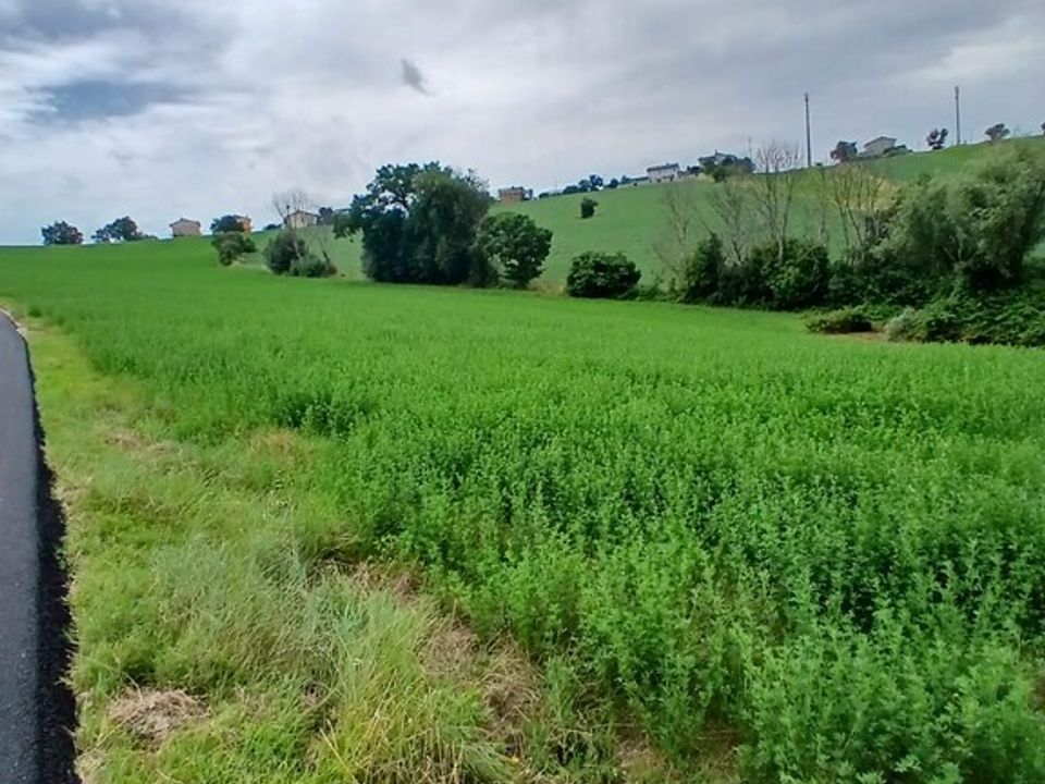 Terreno en Monte San Giusto, Macerata - foto 2