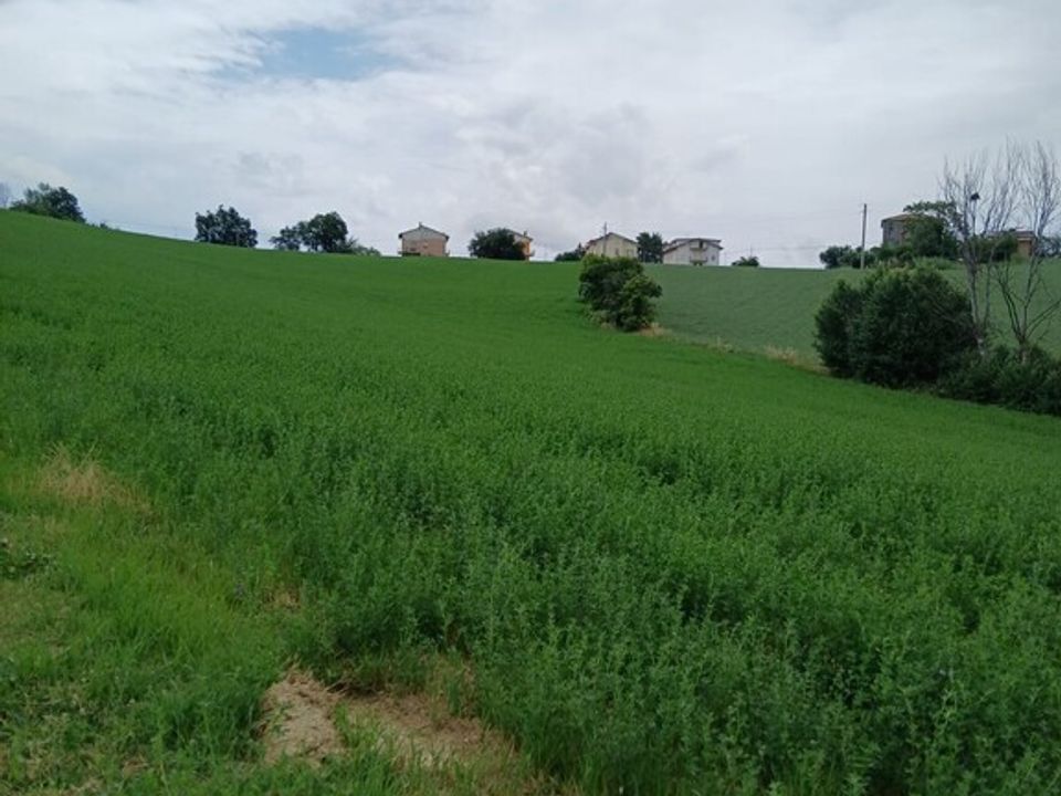Helårsgrund i Monte San Giusto, Macerata - foto 2