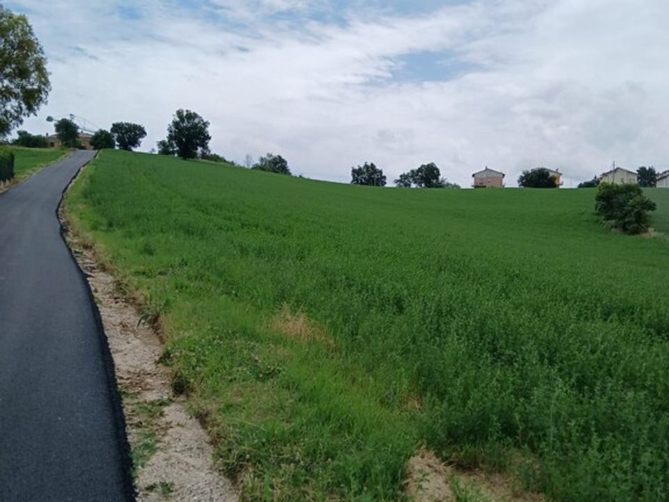 Helårsgrund i Monte San Giusto, Macerata - foto 3