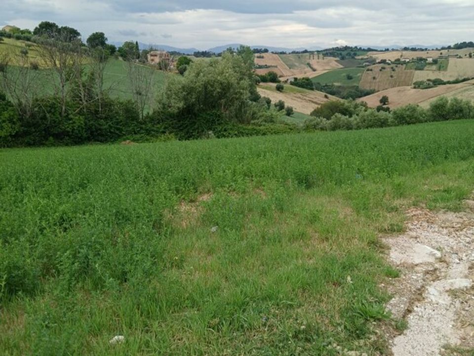 Helårsgrund i Monte San Giusto, Macerata - foto 5