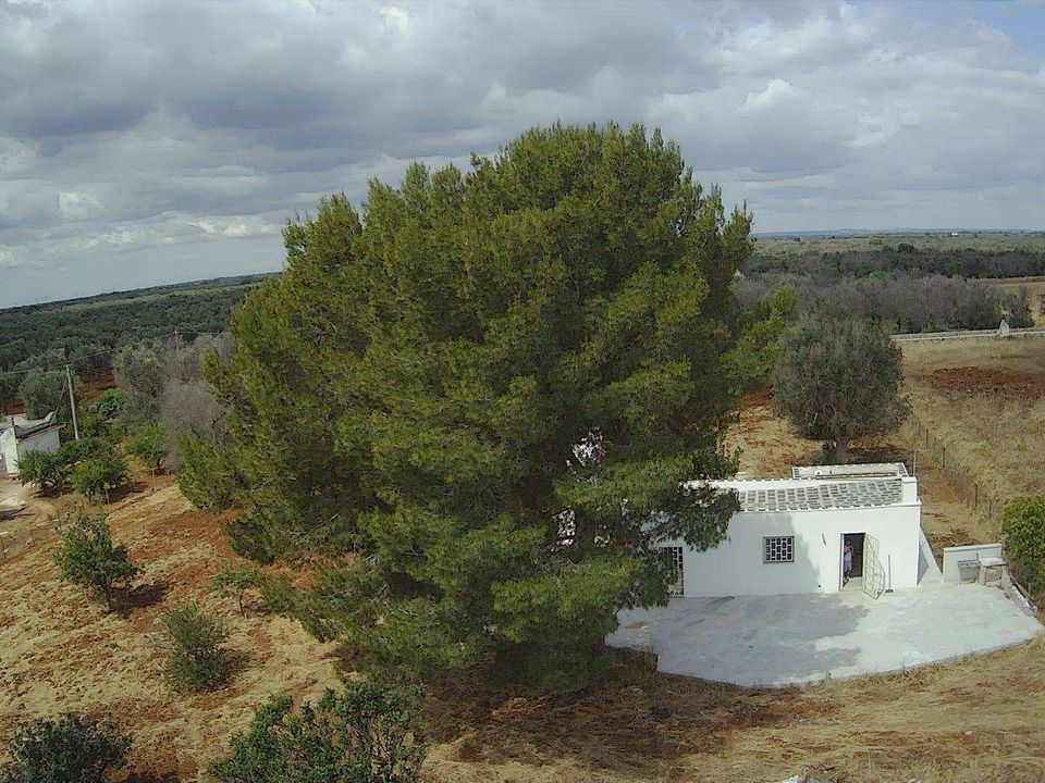Farm hus i San Vito dei Normanni, Brindisi - foto 3