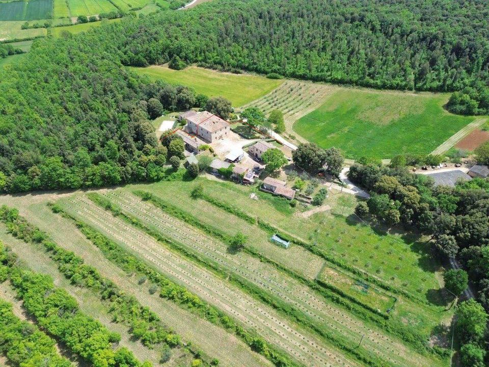 Masia a Monteriggioni, Siena - foto 1