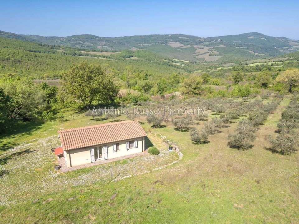 Villa a Scansano, Grosseto - foto 1