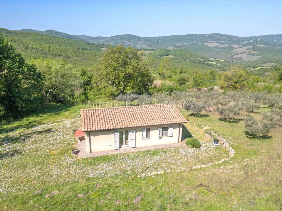 Villa a Scansano, Grosseto - foto 3