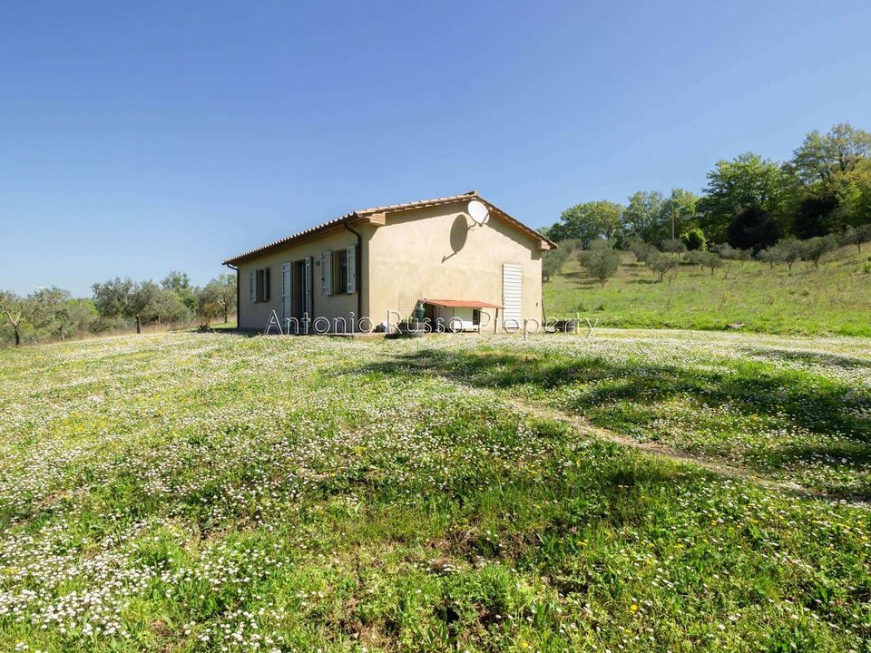 Villa a Scansano, Grosseto - foto 4