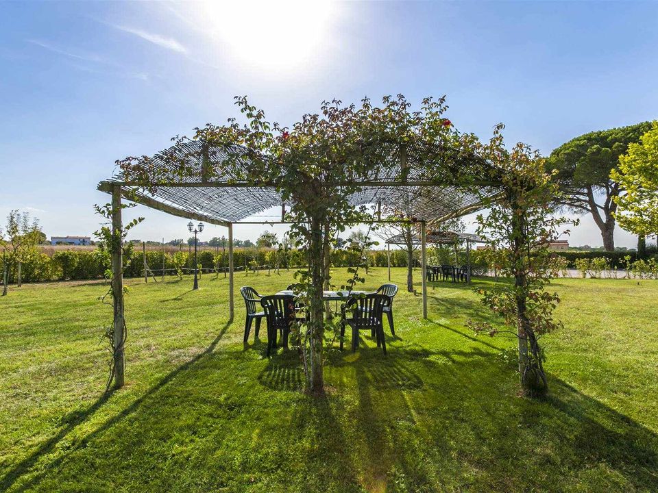Farm hus i Fratta-Santa Caterina, Arezzo - foto 4