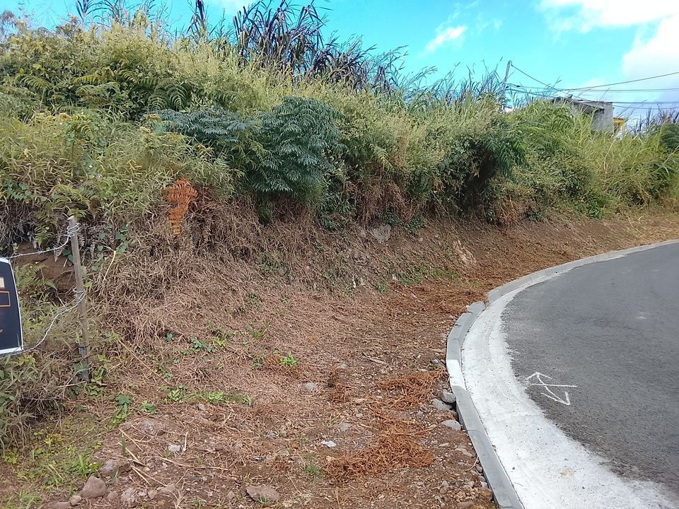 Helårsgrund i Bernica, La Reunion - foto 2