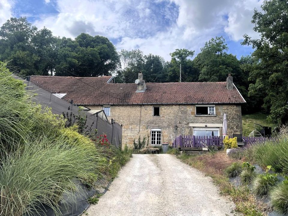 Villa em Noidant-Chatenoy, Haute-Marne - foto 1