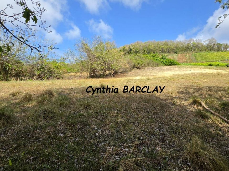 Tomt i Le Vauclin, Martinique - bilde 2