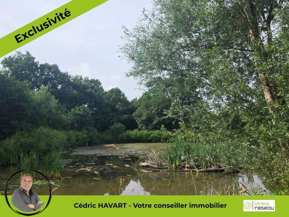Villa em Nuret-le-Ferron, Indre - foto 5