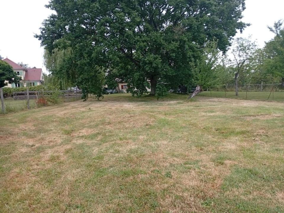 Grond in Bellerive-sur-Allier, Allier - foto 1